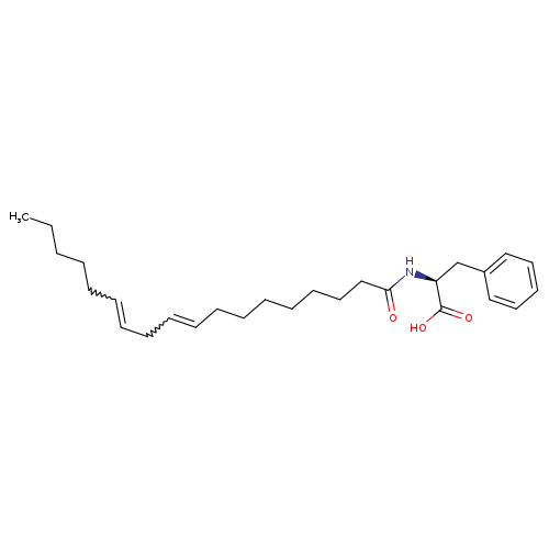 N-[(9Z,12Z)-1-oxo-9,12-octadecadien-1-yl]-L-phenylalanine