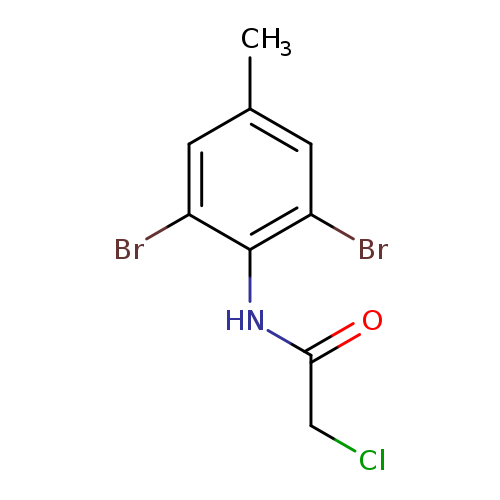 2-CHLORO-N-(2,6-DIBROMO-4-METHYLPHENYL)ACETAMIDE