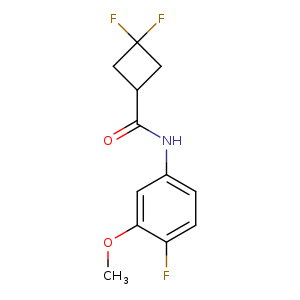 3,3-difluoro-N-(4-fluoro-3-methoxyphenyl)cyclobutane-1-carboxamide