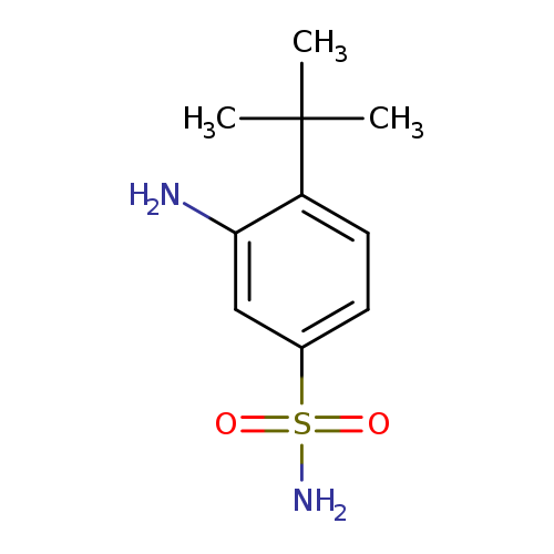 3-amino-4-tert-butylbenzene-1-sulfonamide