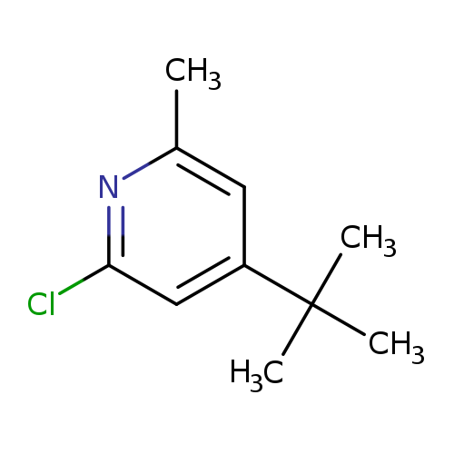 4-tert-butyl-2-chloro-6-methylpyridine