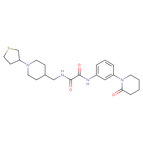 N'-[3-(2-oxopiperidin-1-yl)phenyl]-N-{[1-(thiolan-3-yl)piperidin-4-yl]methyl}ethanediamide