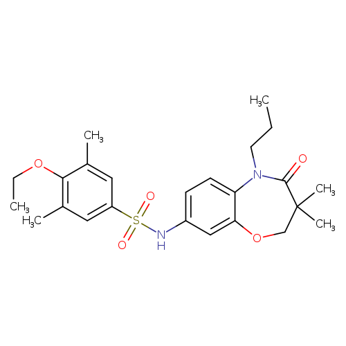 N-(3,3-dimethyl-4-oxo-5-propyl-2,3,4,5-tetrahydro-1,5-benzoxazepin-8-yl)-4-ethoxy-3,5-dimethylbenzene-1-sulfonamide