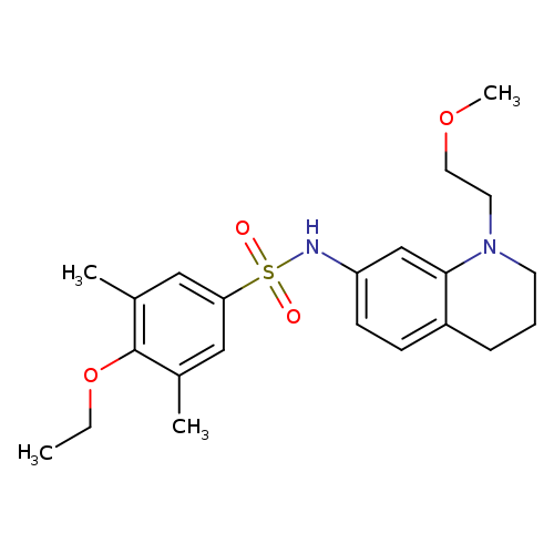 4-ethoxy-N-[1-(2-methoxyethyl)-1,2,3,4-tetrahydroquinolin-7-yl]-3,5-dimethylbenzene-1-sulfonamide