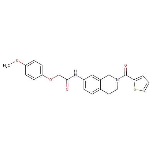 2-(4-methoxyphenoxy)-N-[2-(thiophene-2-carbonyl)-1,2,3,4-tetrahydroisoquinolin-7-yl]acetamide