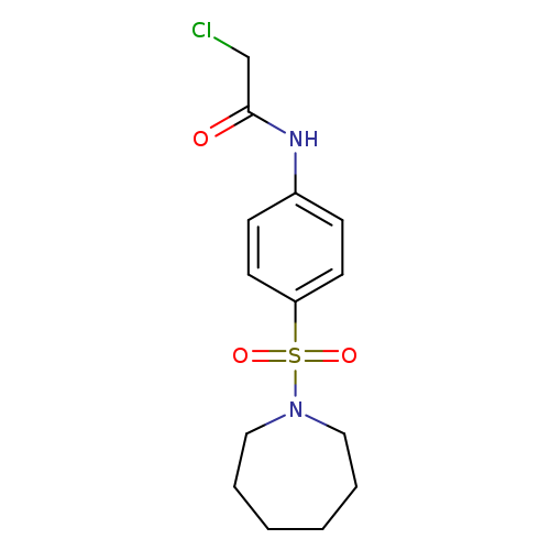 N-[4-(Azepan-1-ylsulfonyl)phenyl]-2-chloroacetamide