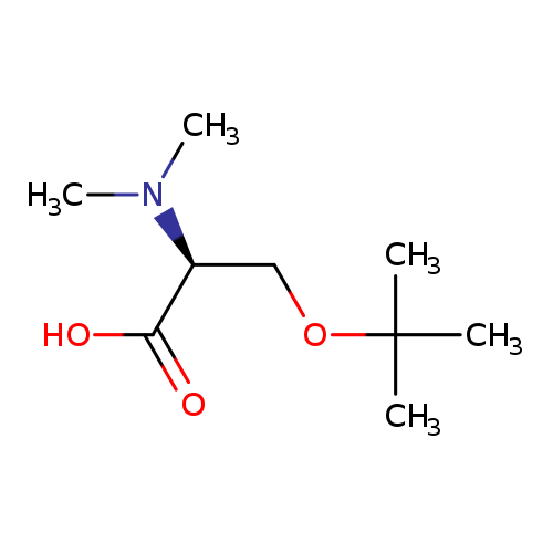 (2S)-3-(tert-butoxy)-2-(dimethylamino)propanoic acid