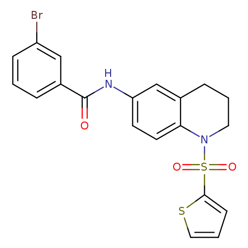 3-bromo-N-[1-(thiophene-2-sulfonyl)-1,2,3,4-tetrahydroquinolin-6-yl]benzamide
