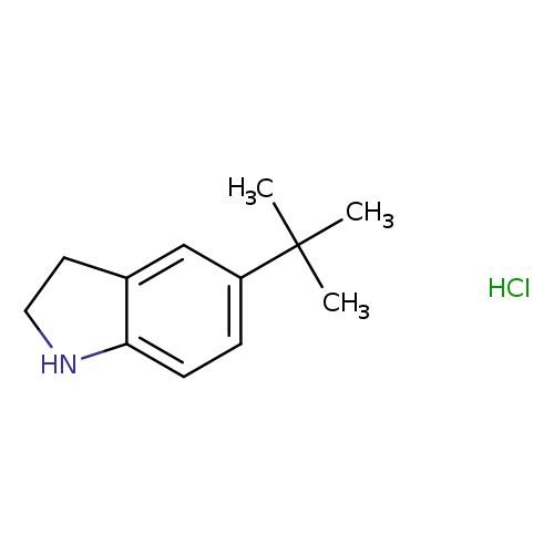 5-tert-butyl-2,3-dihydro-1H-indole hydrochloride