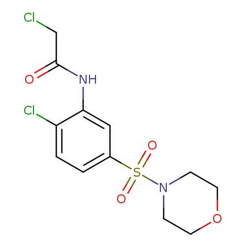 2-chloro-N-[2-chloro-5-(morpholine-4-sulfonyl)phenyl]acetamide