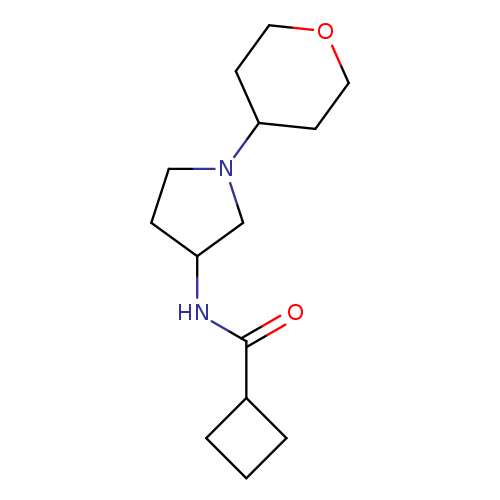N-[1-(oxan-4-yl)pyrrolidin-3-yl]cyclobutanecarboxamide