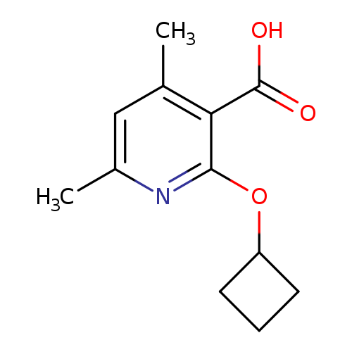 2-cyclobutoxy-4,6-dimethylpyridine-3-carboxylic acid