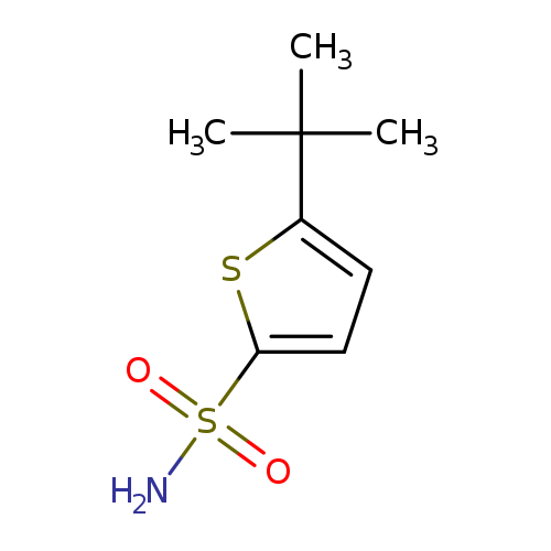 5-tert-butylthiophene-2-sulfonamide