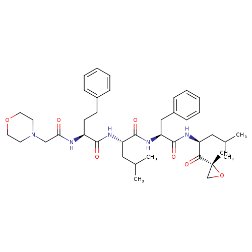(αS)-α-[[2-(4-Morpholinyl)acetyl]amino]benzenebutanoyl-L-leucyl-N-[(1S)-3-methyl-1-[[(2R)-2-methyl-2-oxiranyl]carbonyl]butyl]-L-phenylalaninamide