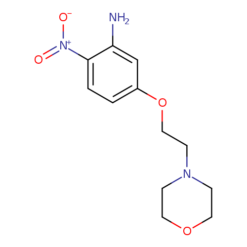 5-[2-(morpholin-4-yl)ethoxy]-2-nitroaniline