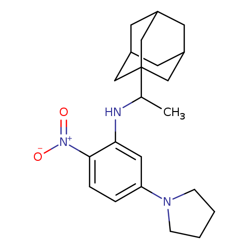 1-{3-{[1-(1-adamantyl)ethyl]amino}-4-nitrophenyl}pyrrolidine