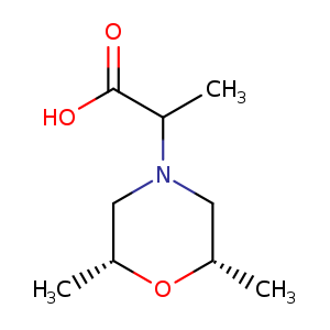 2-(2,6-Dimethylmorpholin-4-yl)propanoic acid hydrochloride