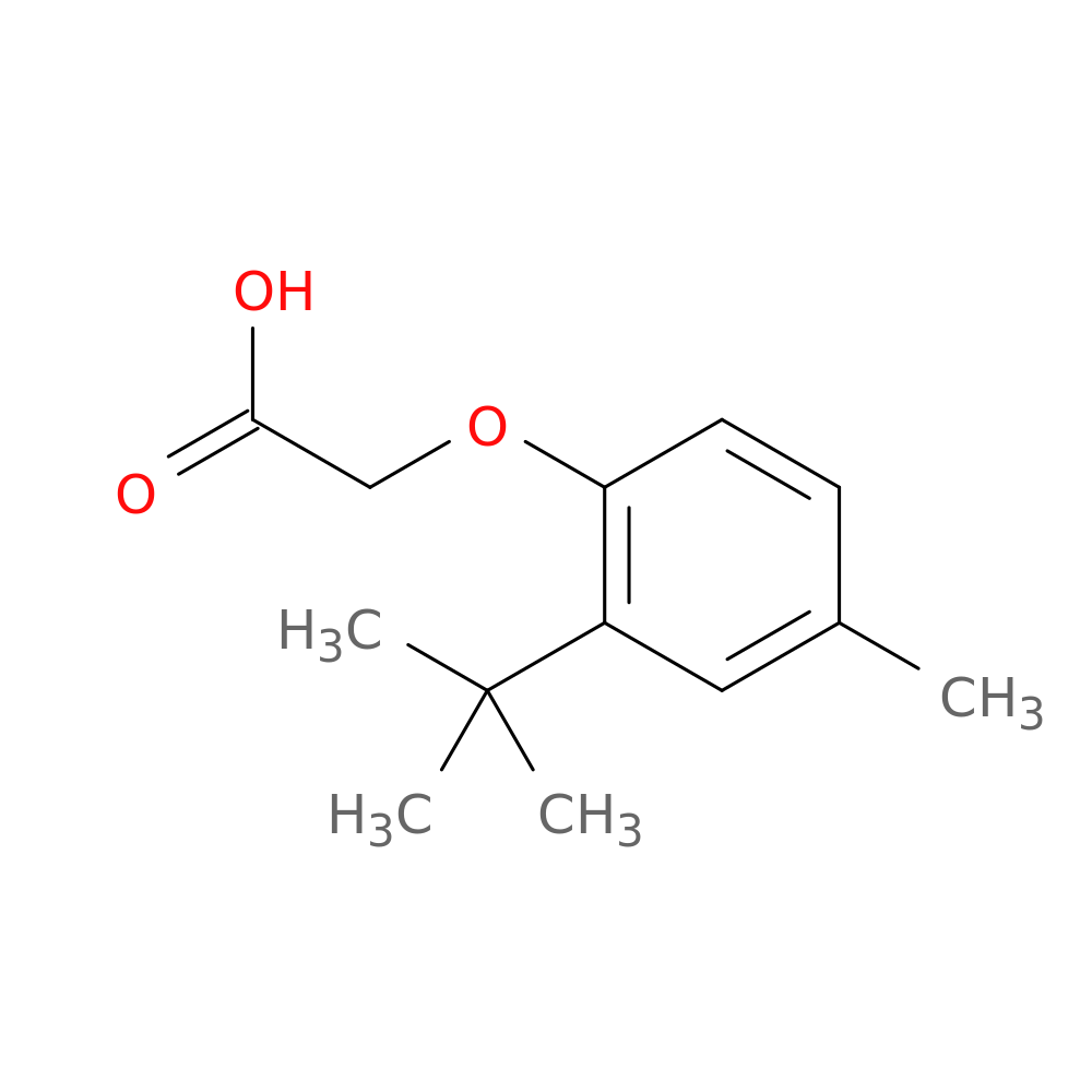 2-(2-tert-butyl-4-methylphenoxy)acetic acid