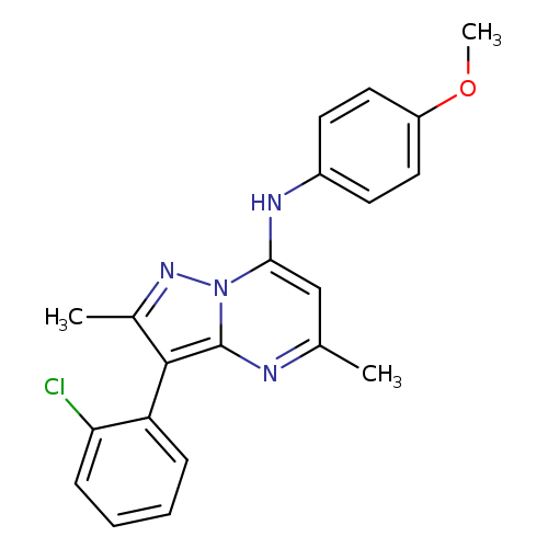 3-(2-chlorophenyl)-N-(4-methoxyphenyl)-2,5-dimethylpyrazolo[1,5-a]pyrimidin-7-amine
