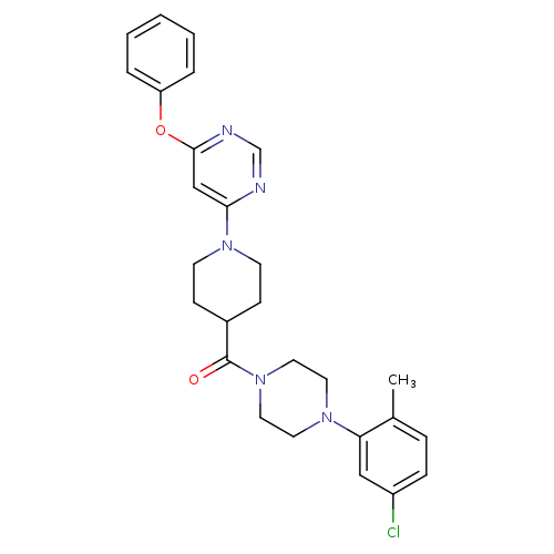4-{4-[4-(5-chloro-2-methylphenyl)piperazine-1-carbonyl]piperidin-1-yl}-6-phenoxypyrimidine