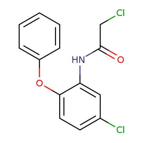 2-chloro-N-(5-chloro-2-phenoxyphenyl)acetamide