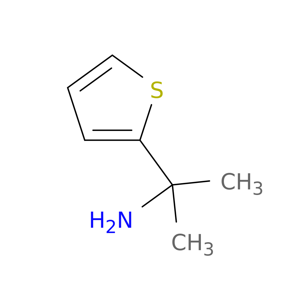 2-(Thiophen-2-Yl)Propan-2-Amine