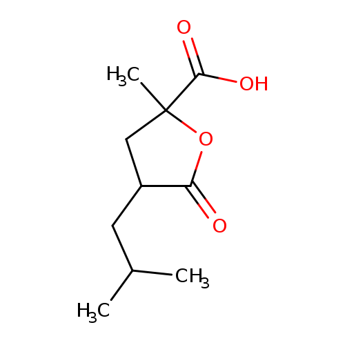 2-methyl-4-(2-methylpropyl)-5-oxooxolane-2-carboxylic acid