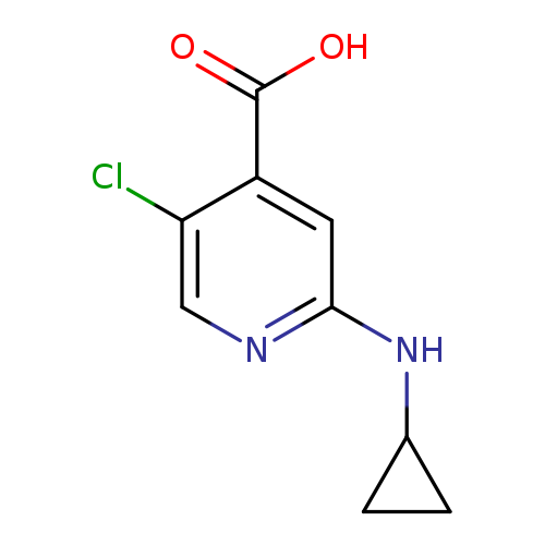 5-chloro-2-(cyclopropylamino)pyridine-4-carboxylic acid