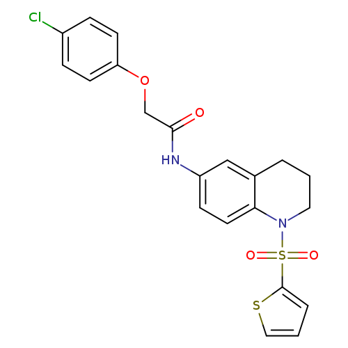 2-(4-chlorophenoxy)-N-[1-(thiophene-2-sulfonyl)-1,2,3,4-tetrahydroquinolin-6-yl]acetamide