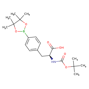 Boc-4-pinicalborane-L-phenylalanine