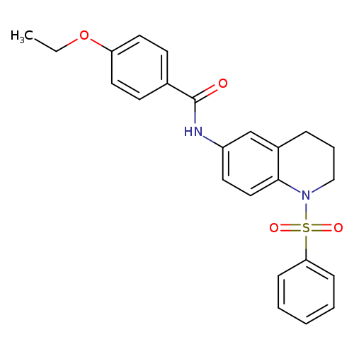 N-[1-(benzenesulfonyl)-1,2,3,4-tetrahydroquinolin-6-yl]-4-ethoxybenzamide