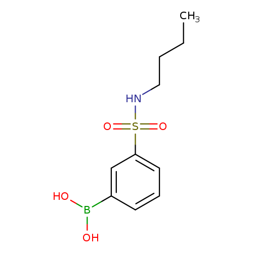 N-Butyl 3-boronobenzenesulfonamide