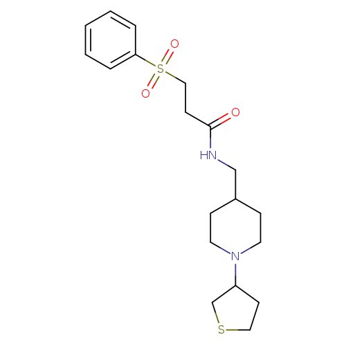 3-(benzenesulfonyl)-N-{[1-(thiolan-3-yl)piperidin-4-yl]methyl}propanamide