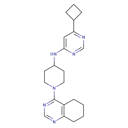 6-cyclobutyl-N-[1-(5,6,7,8-tetrahydroquinazolin-4-yl)piperidin-4-yl]pyrimidin-4-amine