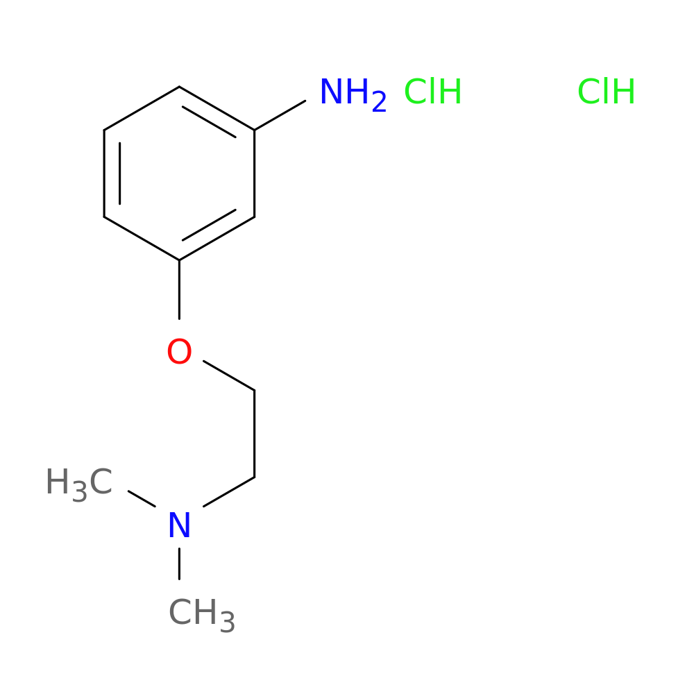 3-[2-(dimethylamino)ethoxy]aniline dihydrochloride