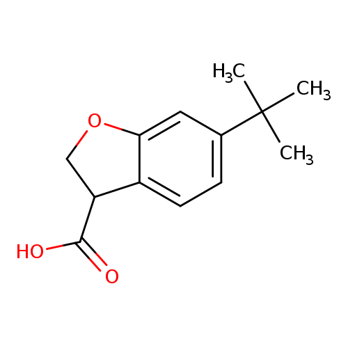 6-tert-butyl-2,3-dihydro-1-benzofuran-3-carboxylic acid