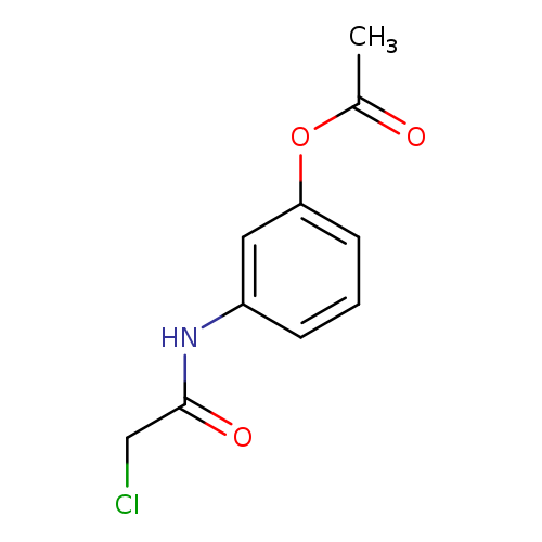 3-[(2-Chloroacetyl)amino]phenyl acetate
