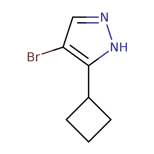 4-BROMO-5-CYCLOBUTYL-1H-PYRAZOLE