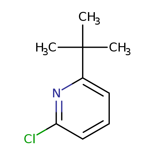 2-chloro-6-(1,1-dimethylethyl)-Pyridine