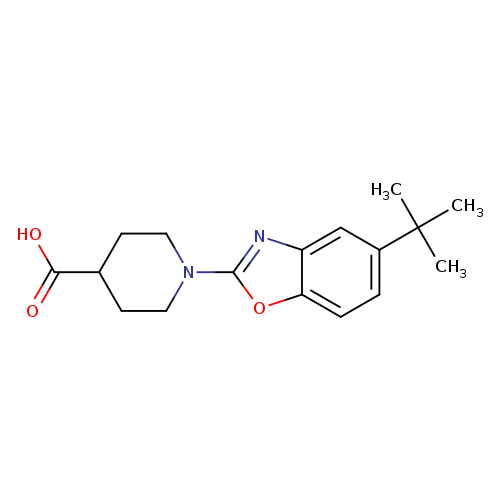 1-(5-tert-Butyl-1,3-benzoxazol-2-yl)piperidine-4-carboxylic acid