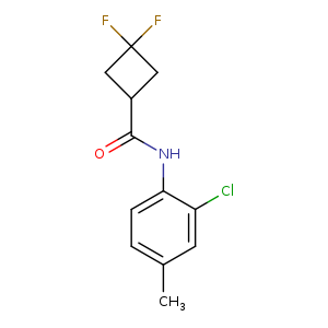 N-(2-chloro-4-methylphenyl)-3,3-difluorocyclobutane-1-carboxamide