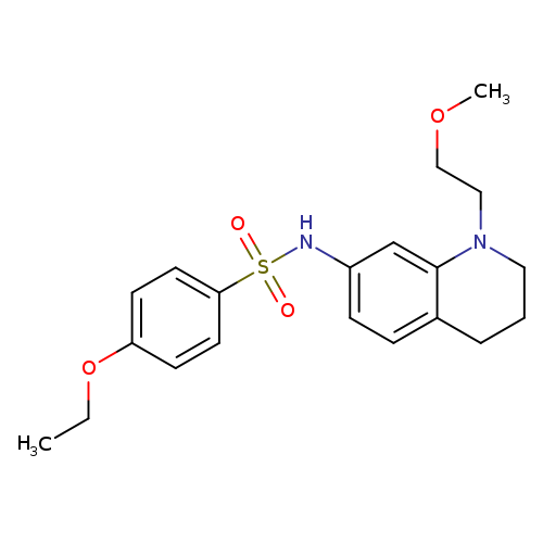 4-ethoxy-N-[1-(2-methoxyethyl)-1,2,3,4-tetrahydroquinolin-7-yl]benzene-1-sulfonamide