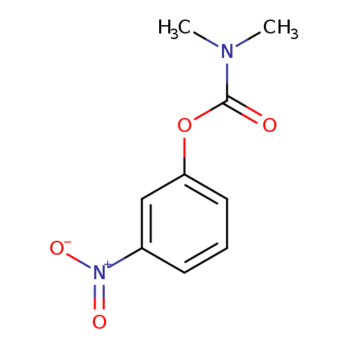 3-nitrophenyl dimethylcarbamate