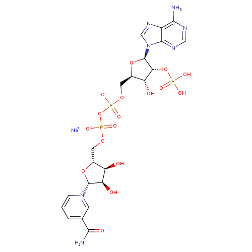 NADP Sodium