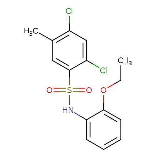2,4-dichloro-N-(2-ethoxyphenyl)-5-methylbenzene-1-sulfonamide