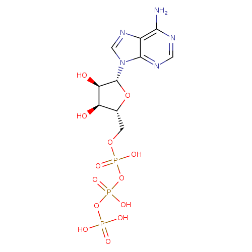 Adenosine Triphosphate