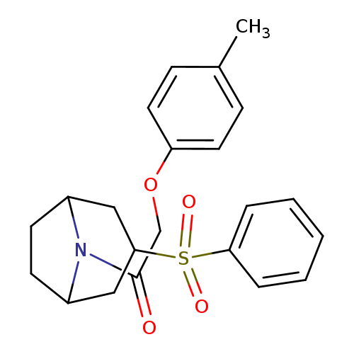 1-[3-(benzenesulfonyl)-8-azabicyclo[3.2.1]octan-8-yl]-2-(4-methylphenoxy)ethan-1-one