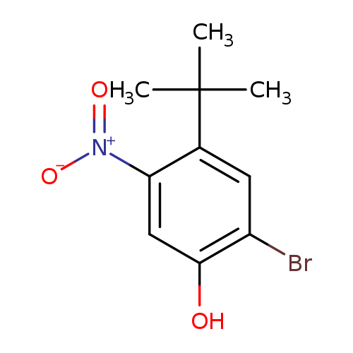 2-BroMo-4-tert-butyl-5-nitro-phenol
