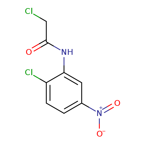 Acetamide,2-chloro-N-(2-chloro-5-nitrophenyl)-