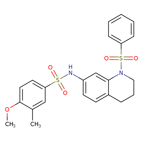 N-[1-(benzenesulfonyl)-1,2,3,4-tetrahydroquinolin-7-yl]-4-methoxy-3-methylbenzene-1-sulfonamide